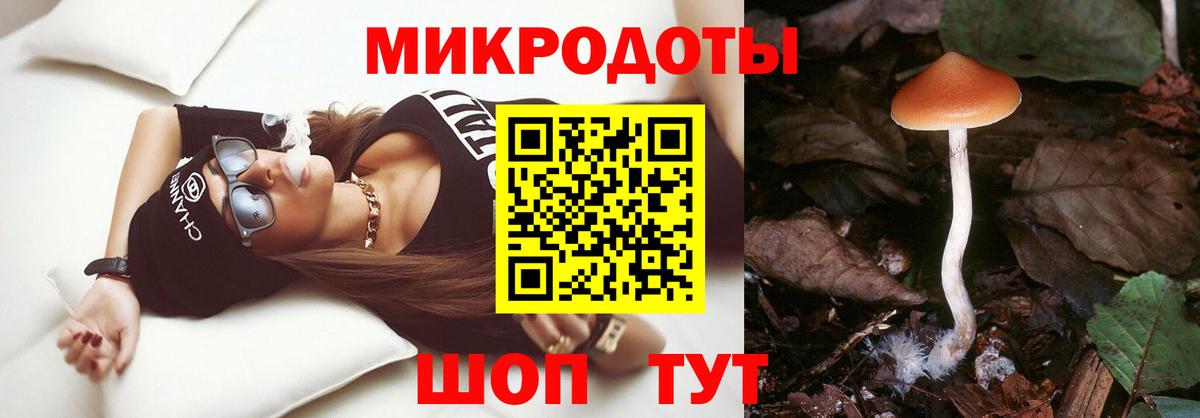 магазин  наркотиков  Псилоцибиновые грибы GOLDEN TEACHER  Вход с VPN  Галлюциногенные грибы мицелий  Ревда 